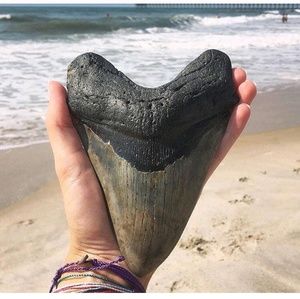 Meet your Posher, Catherine